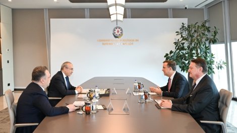 &ldquo;Fiba Holdinq&rdquo;in nümayəndələri ilə görüş keçirilib