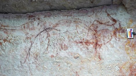 Yerli sakinlərin qayaüstü rəsmləri Tasmaniya pələngləri barədə həqiqəti üzə çıxardı - FOTO