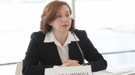 Nazirlikdə struktur dəyişikliyi: Aynur Kərimova müdir təyin edildi