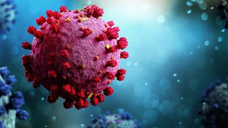 Koronavirus bitmir: Daha bir ştammı ölkələrə yayıldı