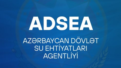 Agentliyə məxsus avtomobil hərrac çıxarılır