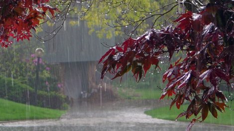 Sabah bəzi yerlərdə yağış yağacaq