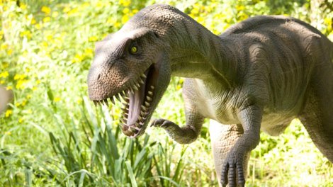 Dəniz səviyyəsindən 500 metr dərinlikdə unikal tapıntı