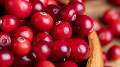 Zoğal diş çürüməsi və diş əti iltihabı riskini azaldır.