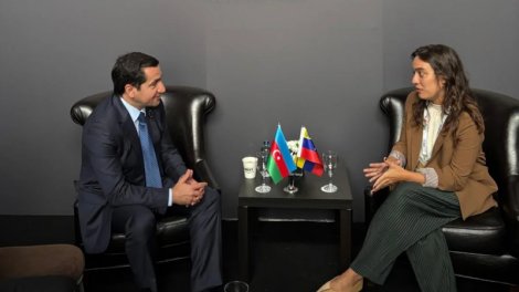 Hikmət Hacıyev Venesuelanın XİN rəhbərinin müavini müzakirələr apardı