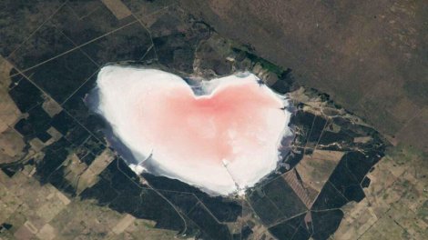 NASA kosmosdan Argentinada çəhrayı "ürəyi" gördü: Rəngin səbəbi heç də romantik deyil