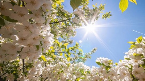 Bazar günü Azərbaycanda 24 dərəcəyədək isti olacaq