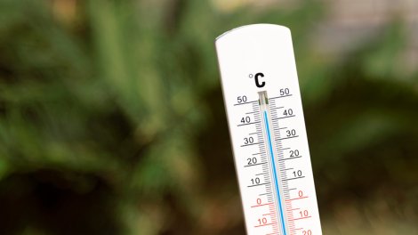 Mayda temperatur 32 dərəcəyədək yüksələcək