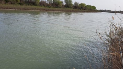 Kür çayında suyun səviyyəsinin qalxması əhalinin təşvişə salıb