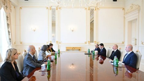Prezident İlham Əliyev BMT-nin Məskunlaşma Proqramının icraçı direktorunu qəbul edib
