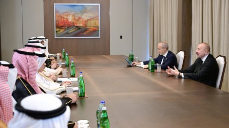 Prezident Ərəb Koordinasiya Qrupunun nümayəndələrini qəbul etdi - FOTO
