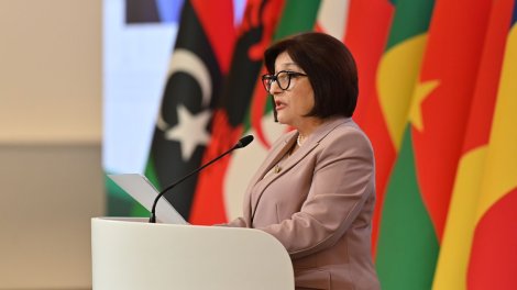 Sahibə Qafarova İƏTPİ-nin 20-ci sessiyasında çıxış etdi - FOTOLAR