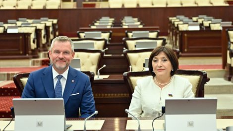 Sahibə Qafarova Pelleqrini ilə görüşüb - FOTO