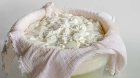Gündə 100 qram probiotik yoqurt bioloji qocalmanı yavaşlada bilər