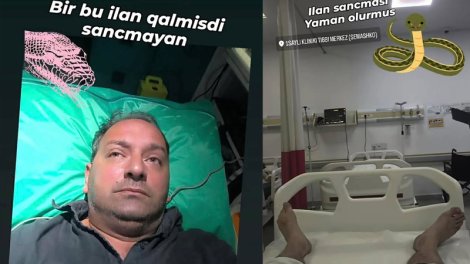 Elnur Kərimovu ilan sancdı