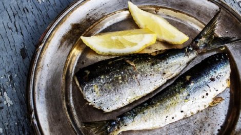 Sardinadan daha çox D vitamini olan 4 balıq növü açıqlandı