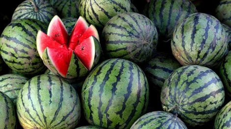 Bazarlarda qarpız ucuzlaşdı: Kiloqramı 40 qəpiyə qədər gerilədi
