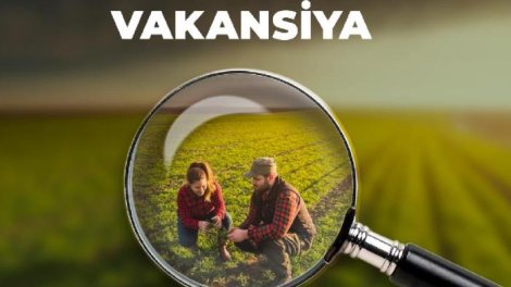 İşçilərə ən yüksək maaşı hansı sahələrdə təklif edirlər?