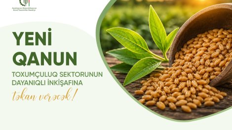 Yeni Qanun toxumçuluq sektorunun dayanıqlı inkişafına təkan verəcək