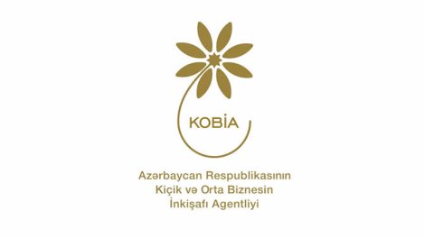 KOBİA-nın Əsasnaməsi təsdiqləndi