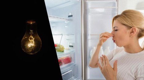 Soyuducu elektrik olmadan soyuğu nə qədər saxlayır? - Ekspertlər cavab verdi