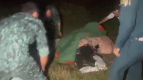 Niderlandlı qadına Şəkidə itlər hücum etdi: Belə xilas olundu - VİDEO