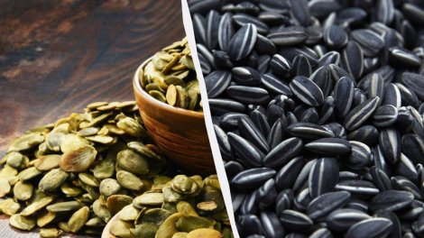 Balqabaq, yoxsa günəbaxan tumu: Hansı daha yaxşıdır?