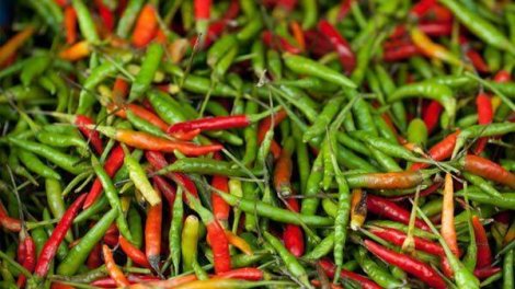 Acı bibər neçəyədir? &ndash; Bazar QİYMƏTLƏRİ