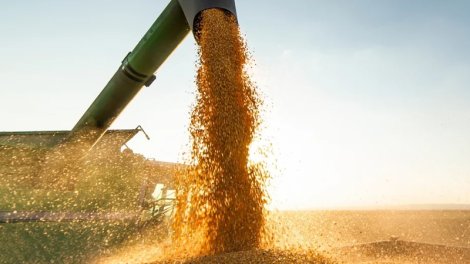 Latviya Rusiya və Belarus taxılına 300 faizlik tarif tətbiq etməyi planlaşdırır