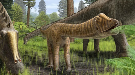 ABŞ-da axtarılan dinozavr İspaniyada tapıldı -Alimləri heyrətləndirən kəşf