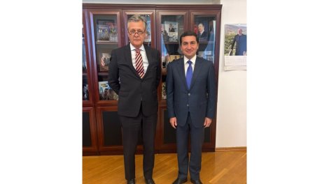 Hikmət Hacıyev Almaniya səfiri ilə ikitərəfli münasibətləri müzakirə edib