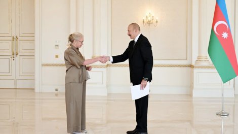 İlham Əliyev İsveçin Azərbaycanda yeni təyin olunmuş səfirini qəbul etdi - FOTO