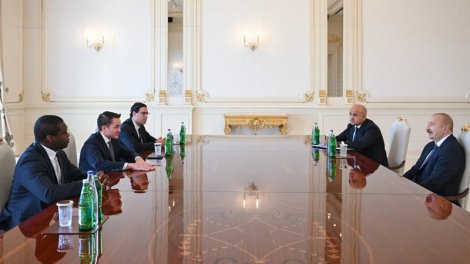Prezident "Brookfield Asset Management" şirkətinin baş icraçı direktorunu qəbul etdi - FOTO
