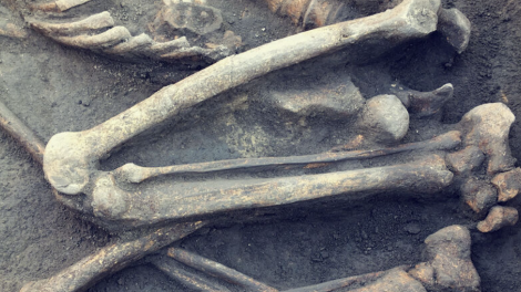 Arxeoloqlar 8 min il əvvəl yaşamış çinlinin üzünü bərpa etdi