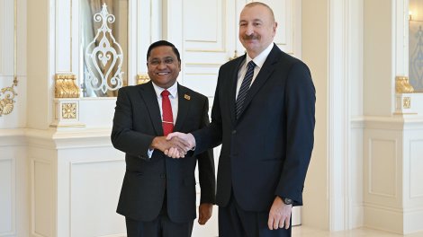 İlham Əliyev Vicita Heratı qəbul etdi
