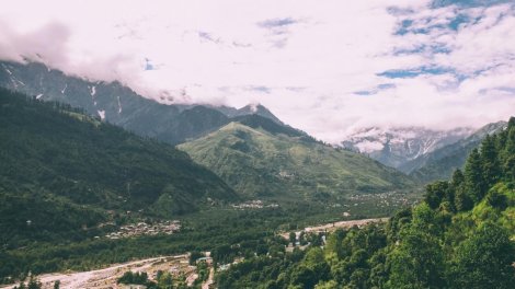 Polşalı turist Himalay dağlarında qramı qızıldan baha olan göbələk tapdı