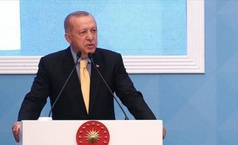 Ərdoğan müstəqil olduğunu sübut etdi, ancaq... – Rus alim