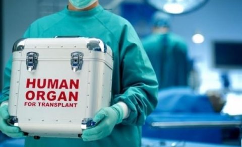 Azərbaycanda canlı donordan orqan transplantasiyası belə olacaq – QAYDALAR VƏ ŞƏRTLƏR