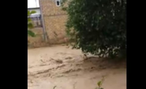 Şamaxıda kənd sel suları altında qaldı - VİDEO