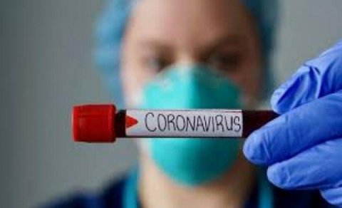 İlk dəfə bu qidada koronavirus aşkarlandı