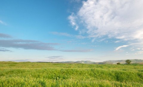 Sabahın hava proqnozu açıqlandı