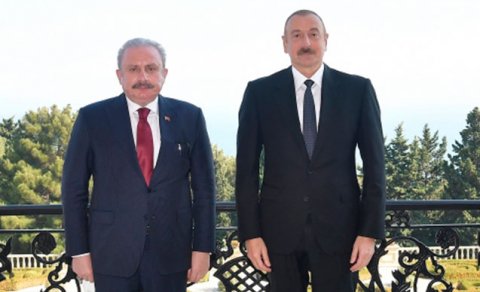 Prezident Şentopu qəbul etdi - FOTO