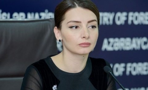 Paşinyan getsə belə, razılaşma dəyişməyəcək - XİN