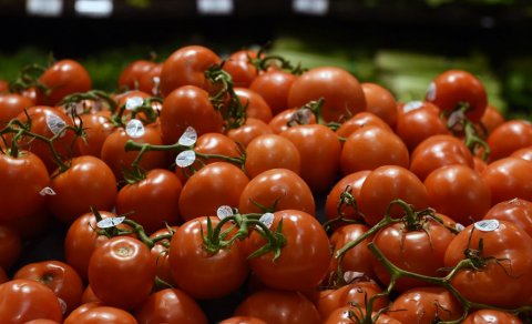 Rusiya Azərbaycanın 12 müəssiəsindən pomidor idxalına İCAZƏ VERDİ