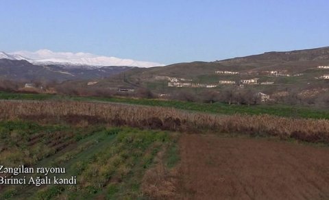 Zəngilanın Birinci Ağalı kəndindən VİDEO