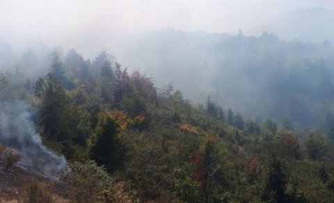 Hirkan Milli Parkında yanğın başlayıb