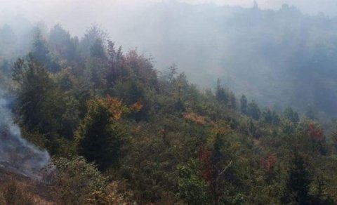 Hirkan Milli Parkında yanğının söndürülməsinə təyyarə cəlb olundu