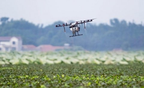 Azərbaycan yeni dronların istehsalına başlayıb