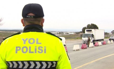 Karantin postunda saxlanılan avtomobildə nərə balıqları aşkarlandı - FOTO