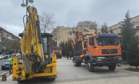 Yasamalda ağaclar niyə köçürülür? - Nazirlikdən CAVAB (FOTO)